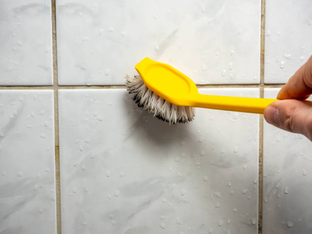 Best Mold Remediation  in Richwood, NJ