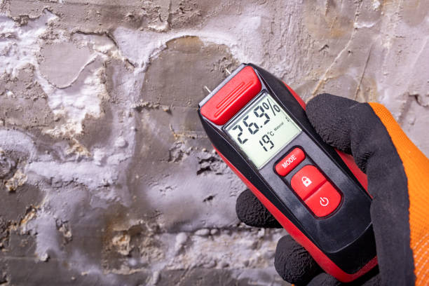 Best Affordable Mold Removal  in Richwood, NJ