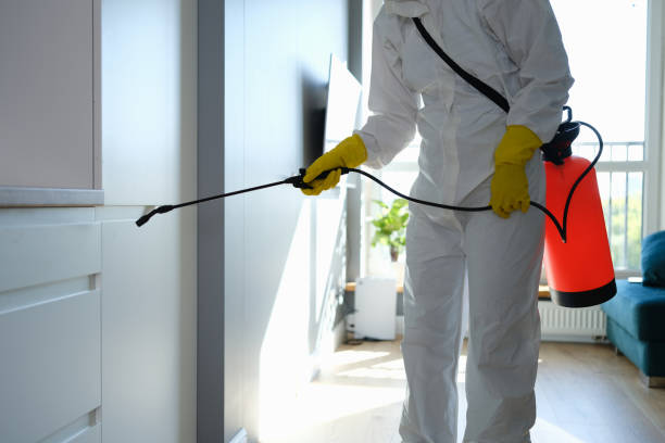 Best Emergency Mold Removal  in Richwood, NJ