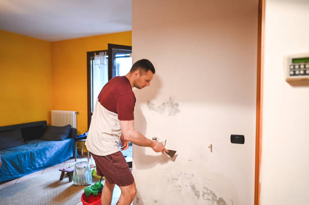 Best Attic Mold Removal  in Richwood, NJ