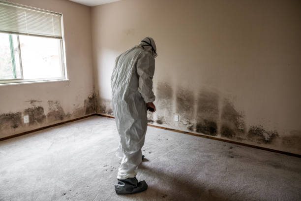 Best Crawl Space Mold Removal  in Richwood, NJ
